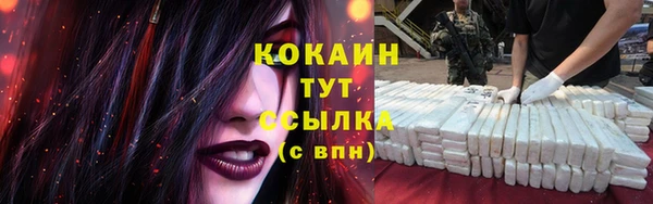 дмт Абаза