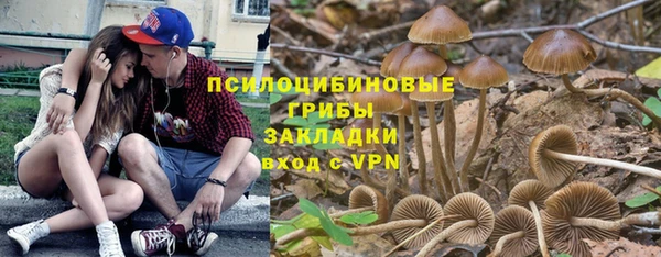 дмт Абаза
